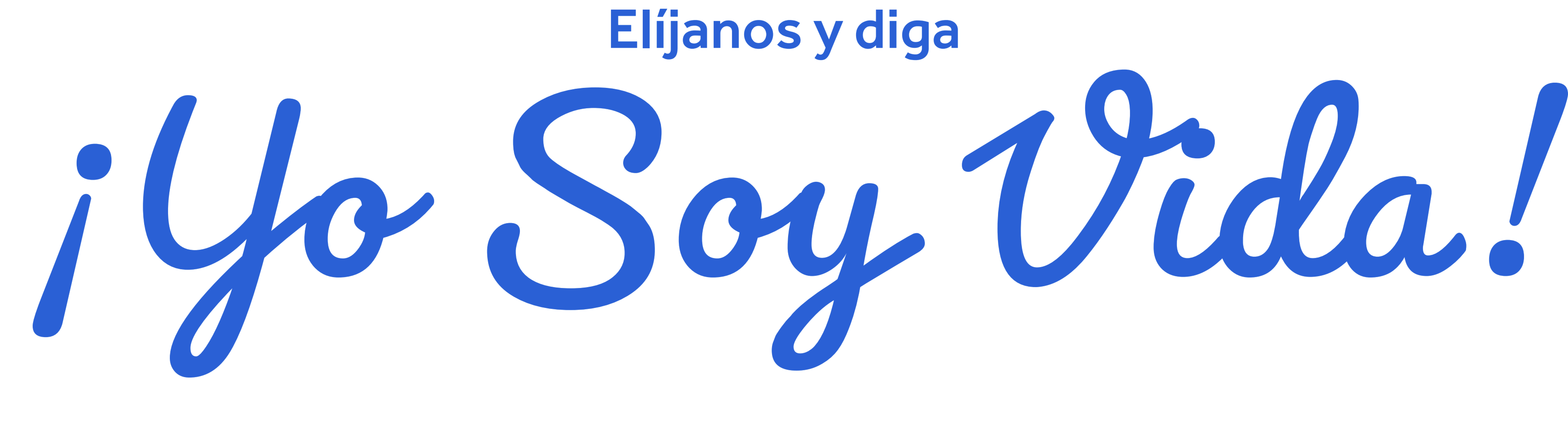 Vida Slogan